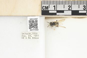 Media type: image;   Entomology 777350 Aspect: Labels
